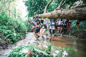 BIB: 
                            <button type="button" onclick="openModal(25471260)" class="btn btn-primary btn-sm float-right btn-popup" data-toggle="modal" data-target=".modal-high-quality">
                        <i class="fas fa-shopping-cart"></i> Add to Cart
                    </button>
                                            <button type="button" onclick="isThisMe(25471260, true)" class="btn btn-success btn-sm float-right btn-popup btn-isme hidden" data-toggle="tooltip" data-placement="bottom" title="นี่คือรูปของคุณใช่ไหม คลิกที่นี่เพื่อเอาเข้าอัลบั้ม">
                        <i class="fas fa-plus"></i> Add to album
                    </button>
                    <button type="button" onclick="isThisMe(25471260, false)" class="btn btn-warning btn-sm float-right btn-popup btn-isnotme hidden">
                        <i class="fas fa-ban"></i> Remove from album
                    </button>